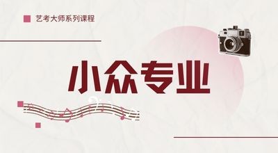 艺考大师系列课程-小众专业