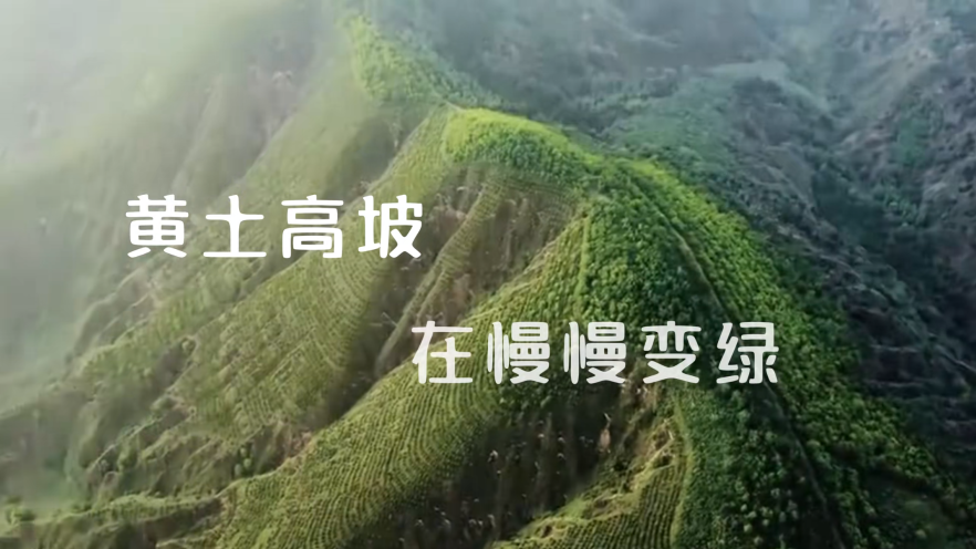 1785934055464881.png 领导3.png