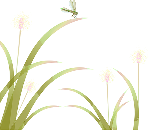 1789004756814192.png 阅读2.png